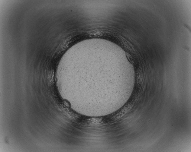 X0000097820660200804041400