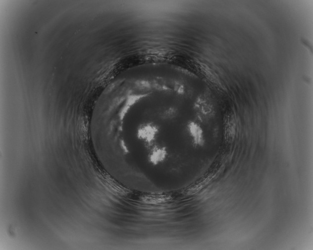 X0000097820661200804041400