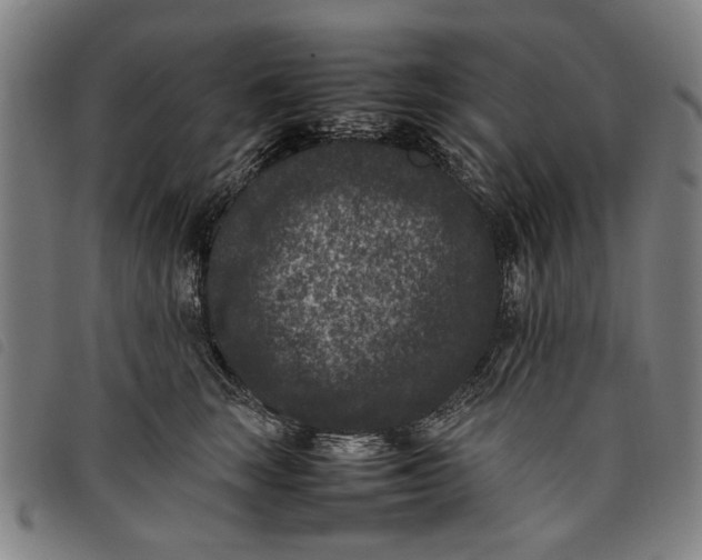 X0000097820663200804041400