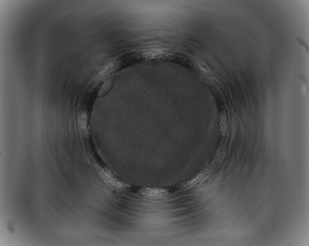 X0000097820670200804041400