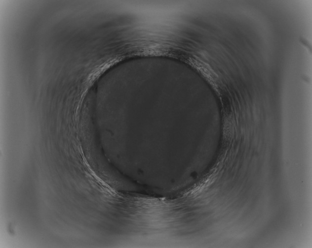 X0000097820673200804041359