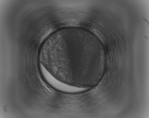 X0000097820677200804041359