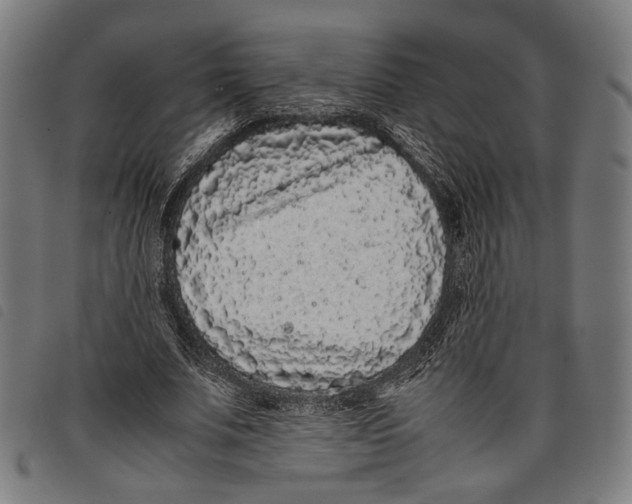 X0000097820679200804041359