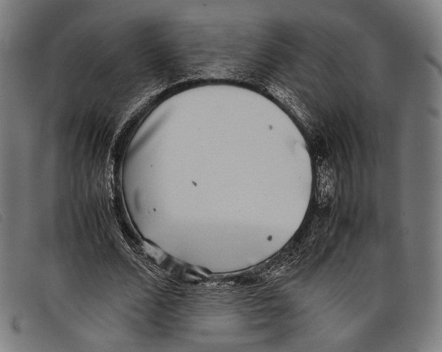 X0000097820680200804041359