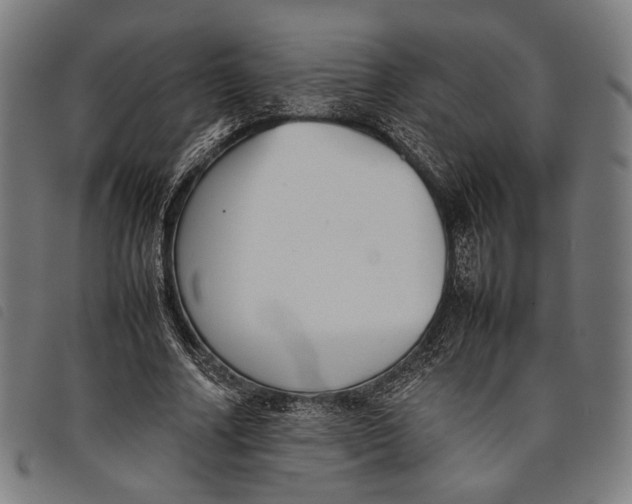 X0000097820682200804041359