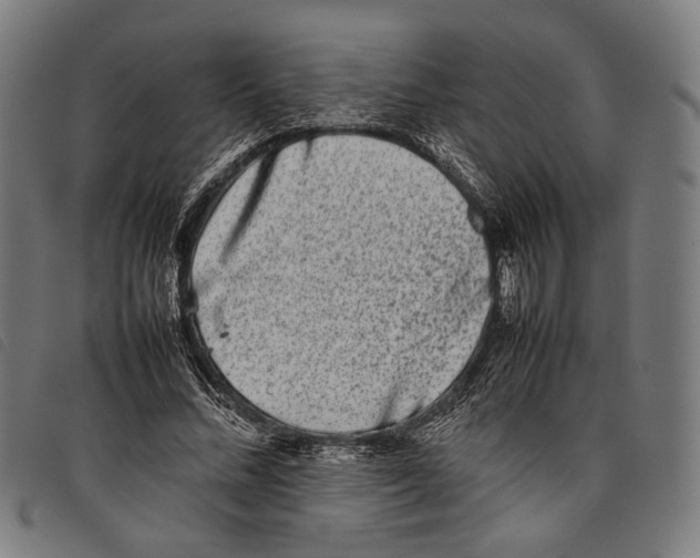 X0000097820684200804041359