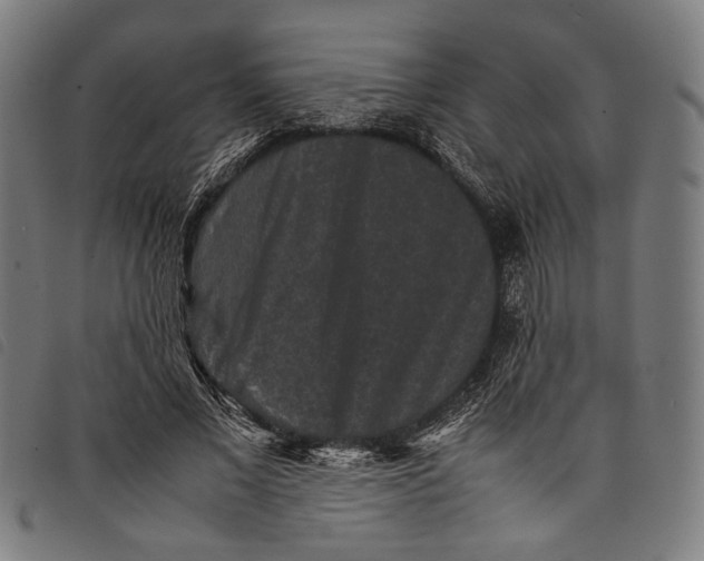 X0000097820685200804041359