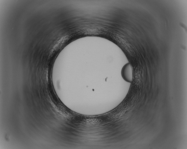 X0000097820686200804041359