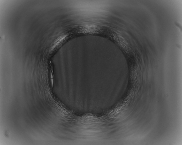 X0000097820689200804041359