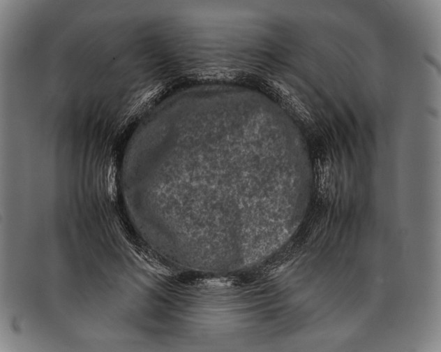 X0000097820692200804041359