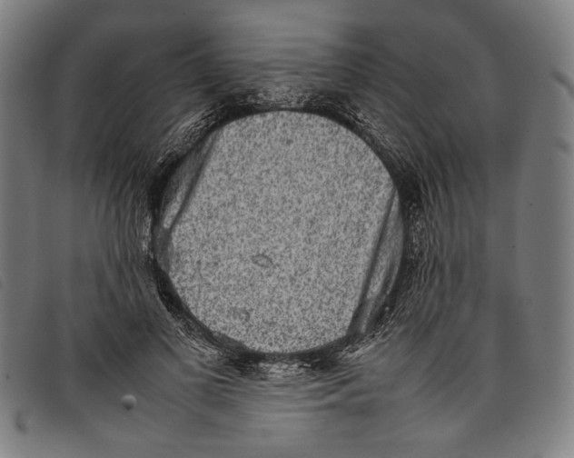 X0000097820693200804041359