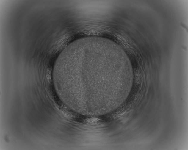 X0000097820695200804041359