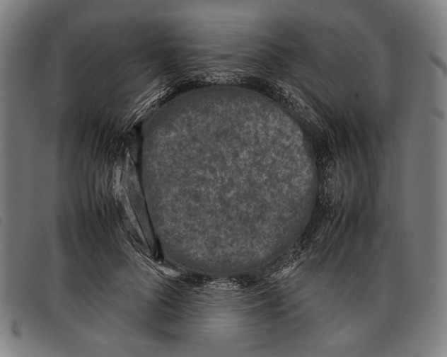 X0000097820696200804041359