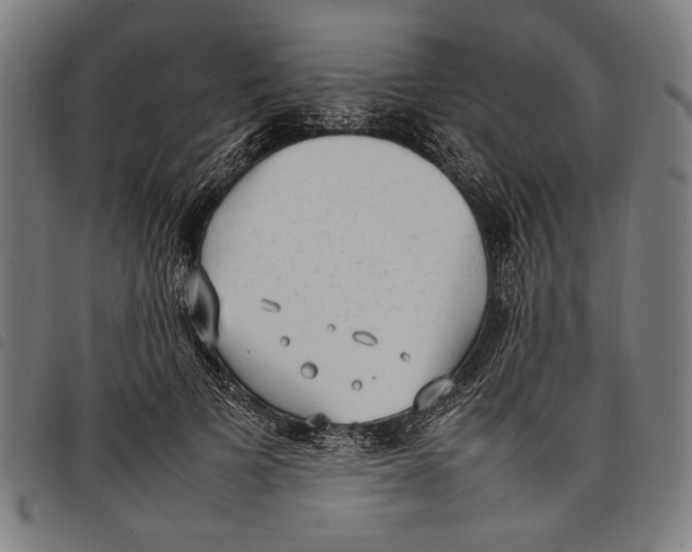 X0000097820697200804041359