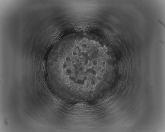 X0000097820699200804041359