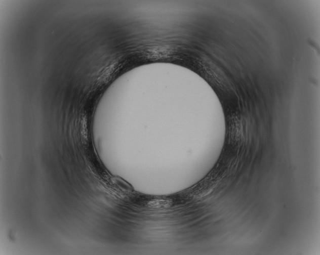 X0000097820700200804041359