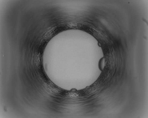 X0000097820702200804041359