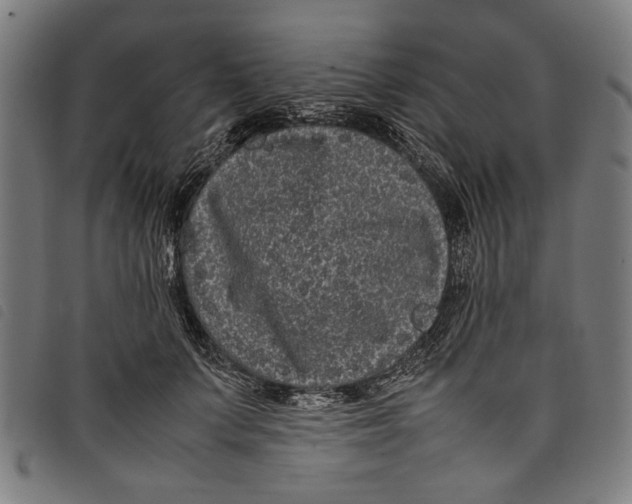 X0000097820703200804041359