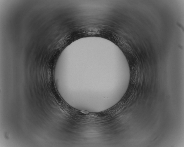 X0000097820704200804041359