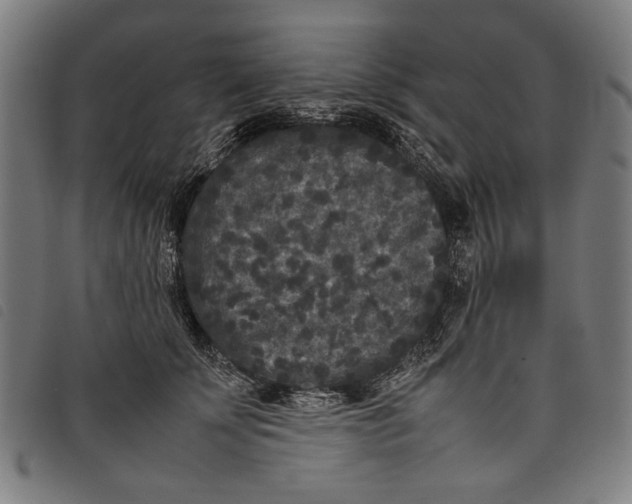 X0000097820707200804041359