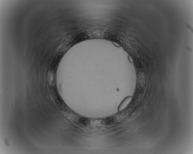 X0000097820709200804041359