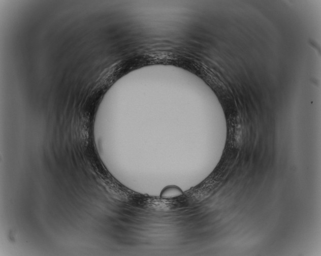 X0000097820710200804041359