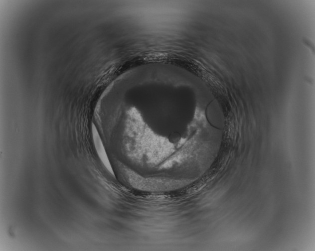 X0000097820711200804041359