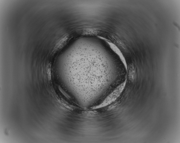 X0000097820716200804041359