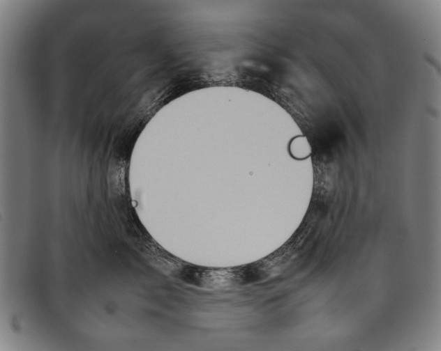 X0000097820717200804041359