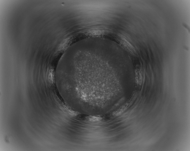 X0000097820718200804041359