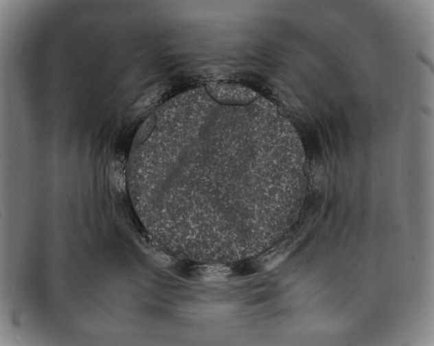 X0000097820719200804041359