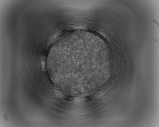 X0000097820720200804041359