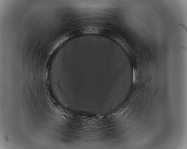 X0000097820723200804041358