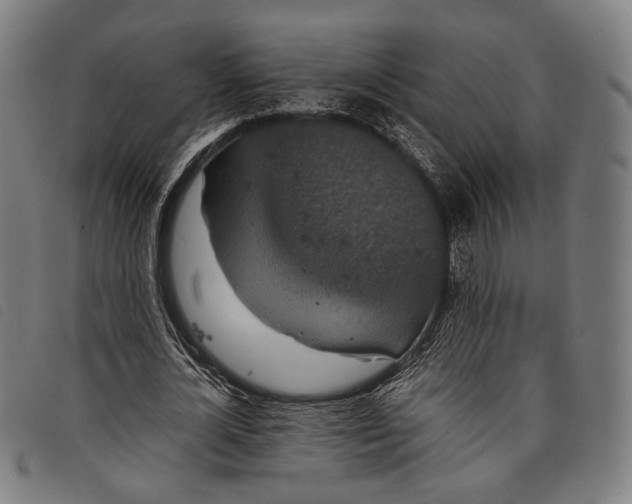 X0000097820724200804041358