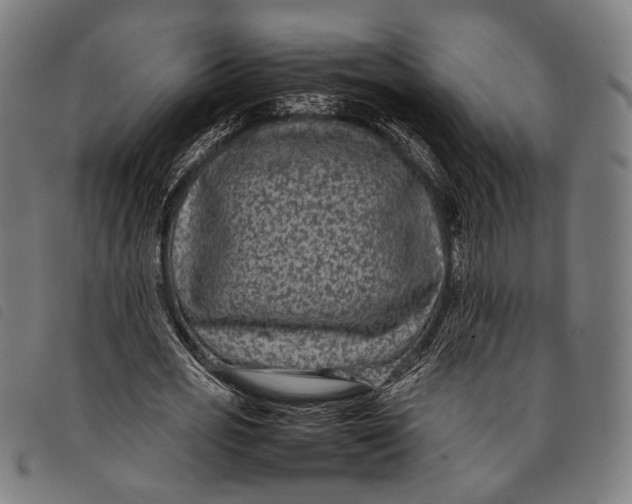 X0000097820725200804041358