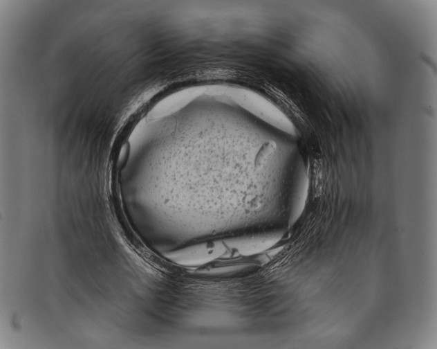 X0000097820726200804041358