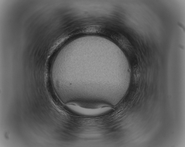 X0000097820728200804041358