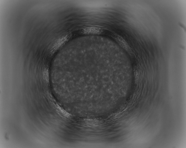 X0000097820729200804041358