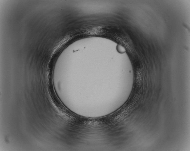 X0000097820730200804041358