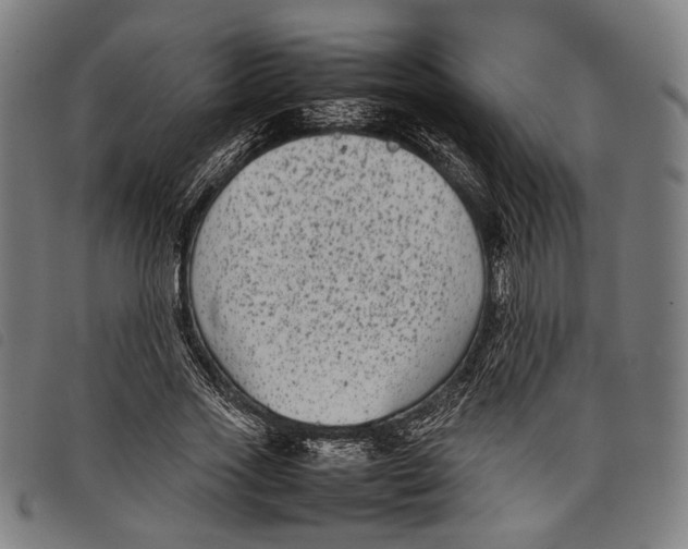 X0000097820733200804041358