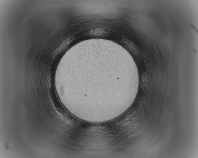 X0000097820734200804041358