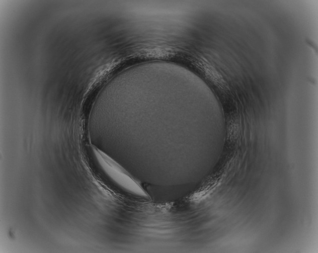 X0000097820736200804041358