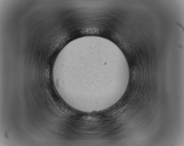 X0000097820739200804041358