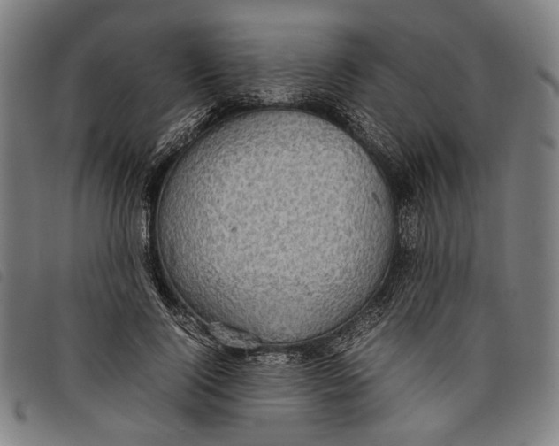 X0000097820740200804041358