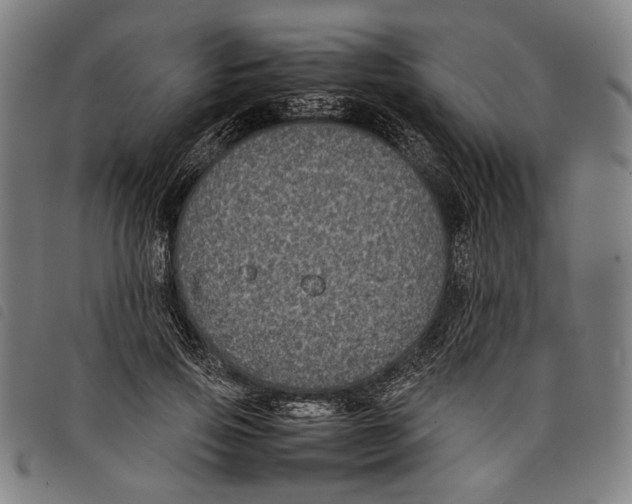 X0000097820741200804041358