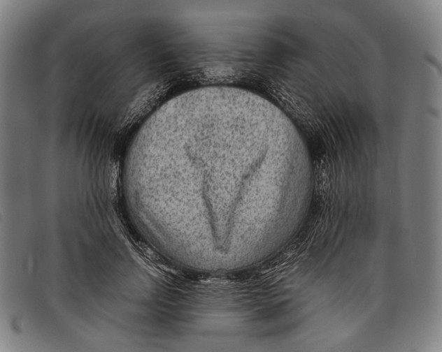 X0000097820742200804041358