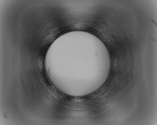 X0000097820746200804041358