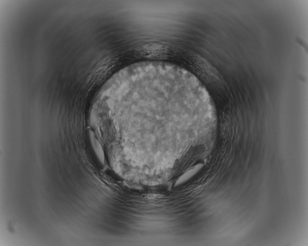 X0000097820748200804041358