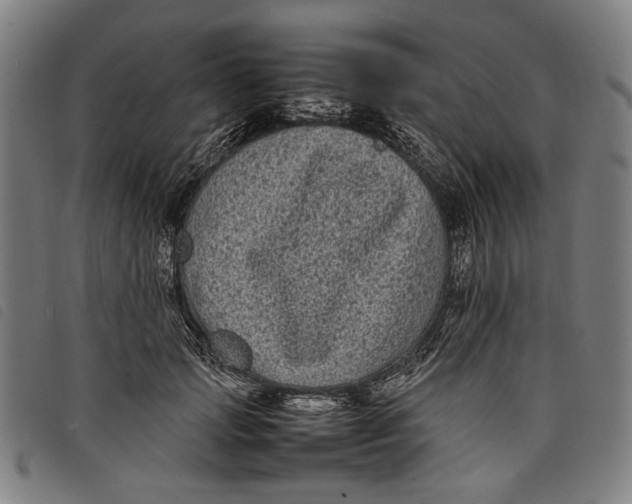 X0000097820749200804041358