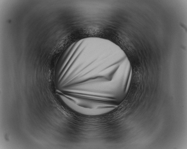 X0000097820750200804041358